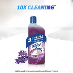 Lizol Lavender 500Ml