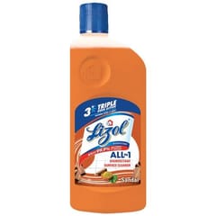 Lizol Sandal 500Ml