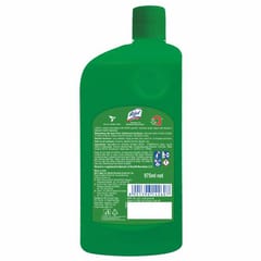 Lizol Neem 975Ml