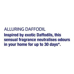 Odonil Daffodil