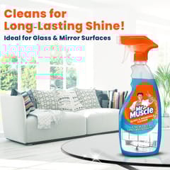 Mr Muscle Glass Cleaner 500Ml