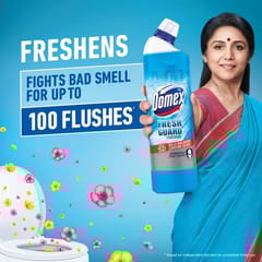 Domex Toilet Cleaner Ocean Fresh
