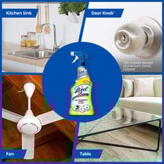 Lizol Disinfectant Multi-Purpose Power Cleaner Liquid Spray Works on Multiple Surfaces like fans, windows, doorknobs, sinks and more - 450ml