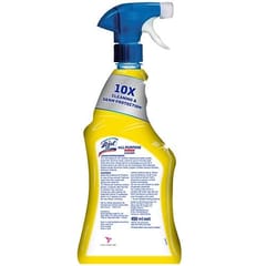 Lizol Disinfectant Multi-Purpose Power Cleaner Liquid Spray Works on Multiple Surfaces like fans, windows, doorknobs, sinks and more - 450ml
