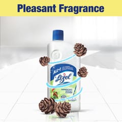 Lizol Pine, Disinfectant Surface & Floor Cleaner Liquid Suitable for All Floor Cleaner Mops Kills 99.9% Germs - 1 Litre