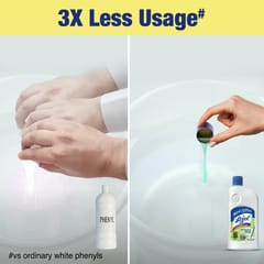 Lizol Pine, Disinfectant Surface & Floor Cleaner Liquid Suitable for All Floor Cleaner Mops Kills 99.9% Germs - 1 Litre