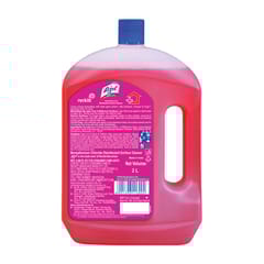 Lizol Floral, Disinfectant Surface & Floor Cleaner Liquid | Suitable for All Floor Cleaner Mops - 2Ltr