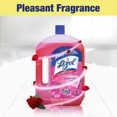 Lizol Floral, Disinfectant Surface & Floor Cleaner Liquid | Suitable for All Floor Cleaner Mops - 2Ltr