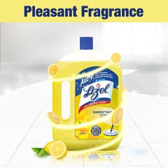 Lizol Citrus, Disinfectant Surface & Floor Cleaner Liquid Suitable for All Floor Cleaner Mops Kills 99.9% Germs - 2 Ltr