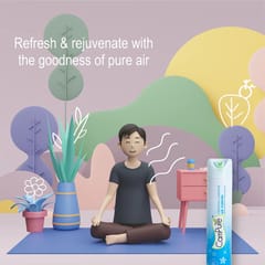 CamPure Camphor Air Purifier Original 250ml