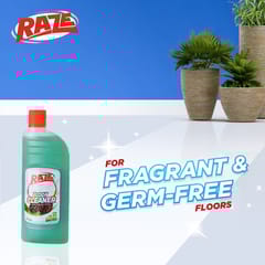 Raze Floor Cleaner Pine
