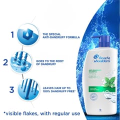 Head & Shoulders Cool Menthol Anti Dandruff Shampoo, 1 L