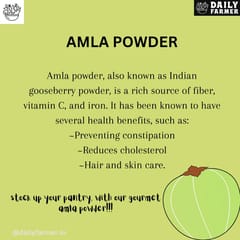 Daily Farmer Dried Seedless Amla Powder, Indian Gooseberry Powder, For Face, Body And Drinking, 100% Pure, Face Pack, No Additives - 100g