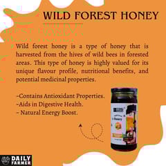 Daily Farmer Wild Forest Honey 100% Raw, Pure and Natural, NMR tested, Unprocessed and Un-Pasteurised, Immunity Booster, Sugar- Free - 300g